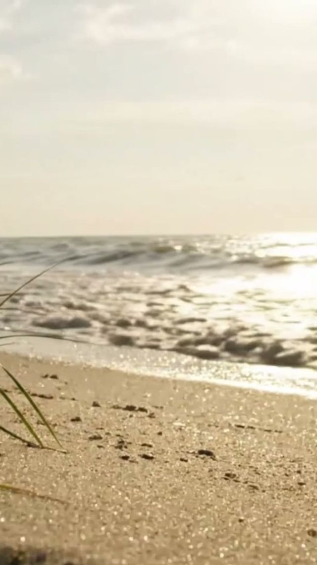 the shore, locked