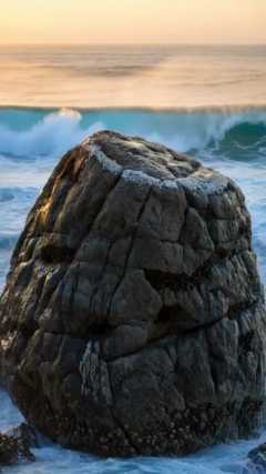 the rock, locked